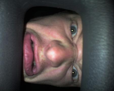 Brice